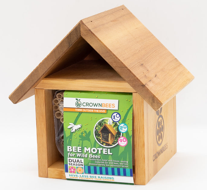 DSCF4652_1200x630.jpg?v=1581747810