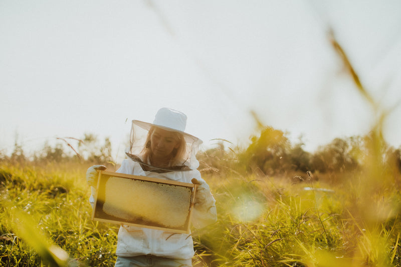 The Benefits of Joining Your Local Bee Club: Why Beekeepers Thrive Together