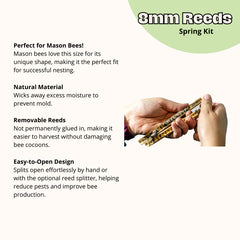 Spring Natural Reeds for Mason Bees - 8mm 50ct
