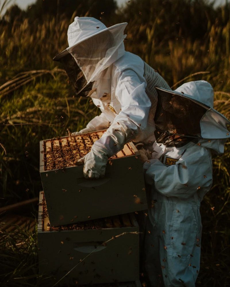 2024 Beginner Beekeeping Course *In person only*