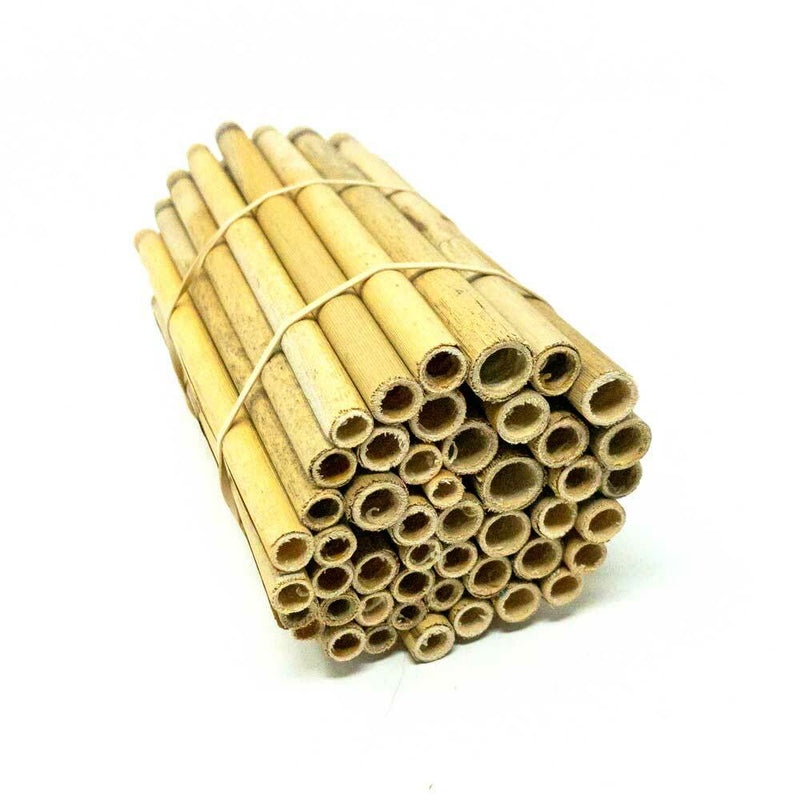Natural Reeds for Leafcutter bees 6mm