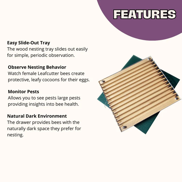 Bee Observer - Solitary Bee Observation Tray