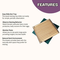 Bee Observer - Solitary Bee Observation Tray