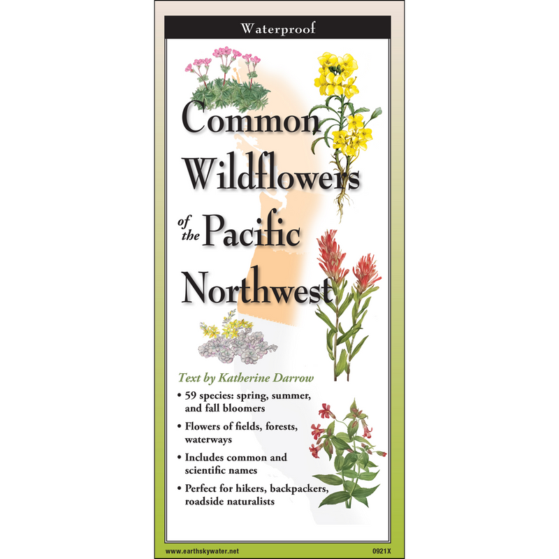 Folding Wildflower Guide